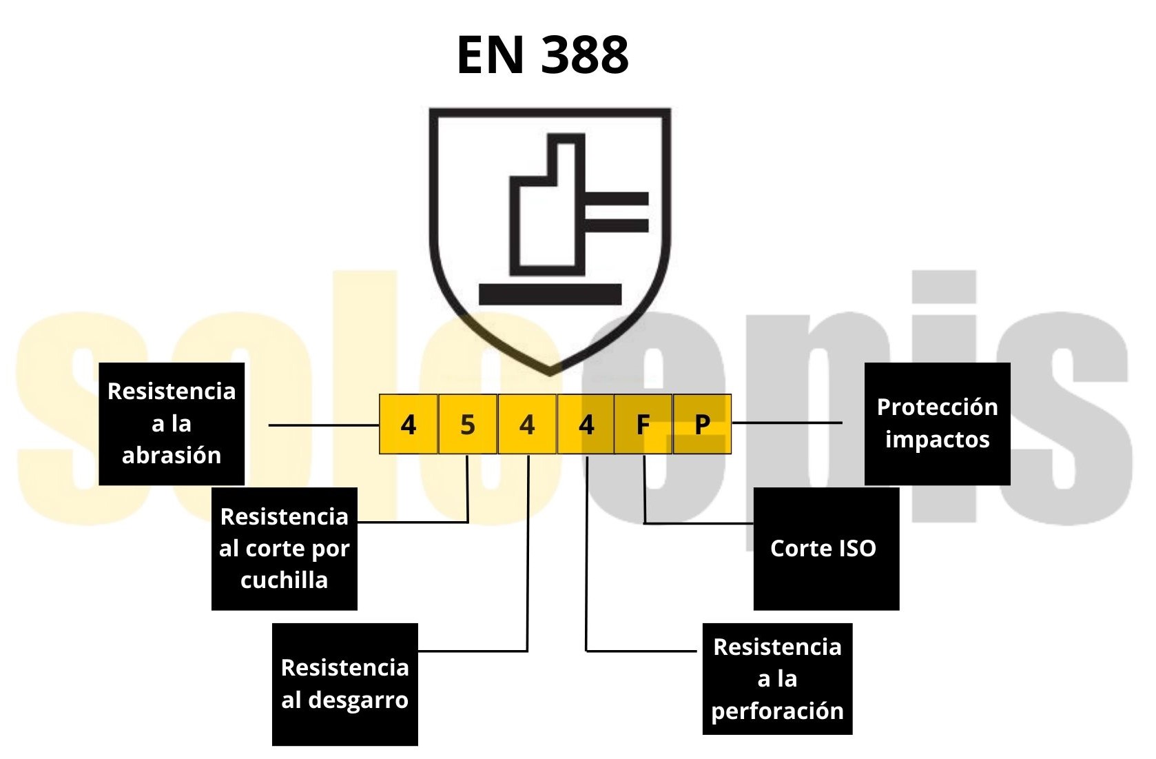 en-388